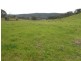 1235 Kangarooby Road, Gooloogong NSW 2805