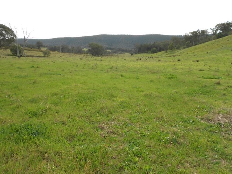 1235 Kangarooby Road, Gooloogong NSW 2805