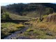 1235 Kangarooby Road, Gooloogong NSW 2805