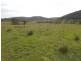 1235 Kangarooby Road, Gooloogong NSW 2805