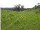 1235 Kangarooby Road, Gooloogong NSW 2805