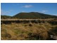 1235 Kangarooby Road, Gooloogong NSW 2805