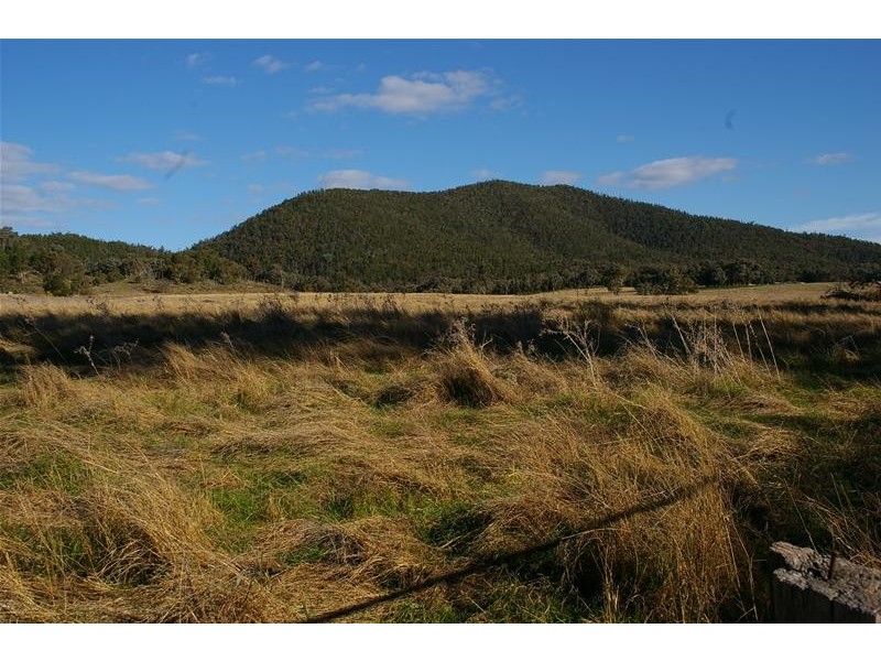 1235 Kangarooby Road, Gooloogong NSW 2805