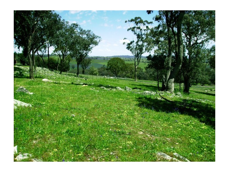 305 Horton Drive, Woodstock NSW 2793