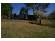 2557 Darbys Falls Road, Wyangala NSW 2808