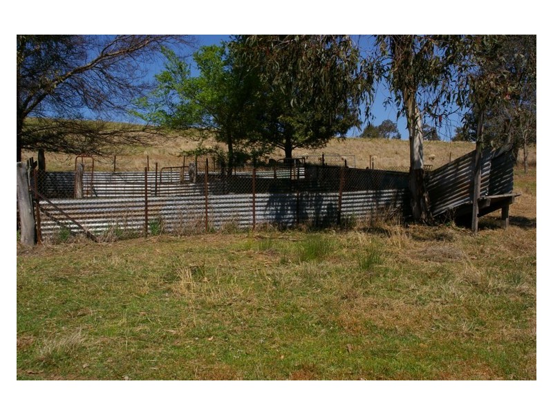 2557 Darbys Falls Road, Wyangala NSW 2808