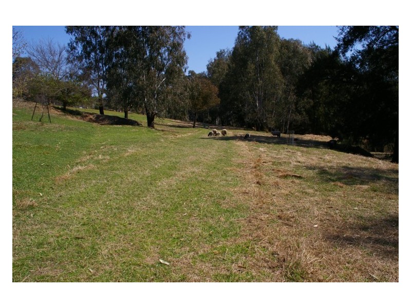 2557 Darbys Falls Road, Wyangala NSW 2808