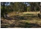 2557 Darbys Falls Road, Wyangala NSW 2808