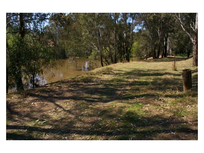 2557 Darbys Falls Road, Wyangala NSW 2808