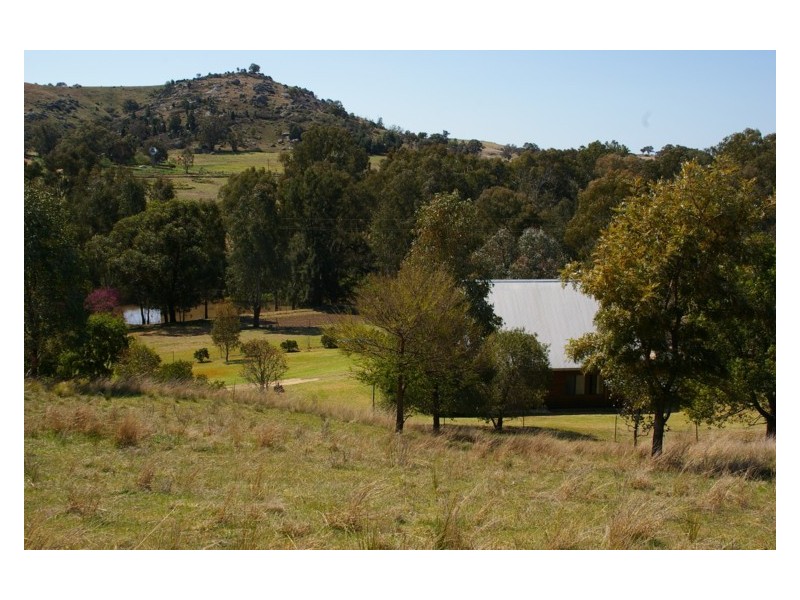 2557 Darbys Falls Road, Wyangala NSW 2808