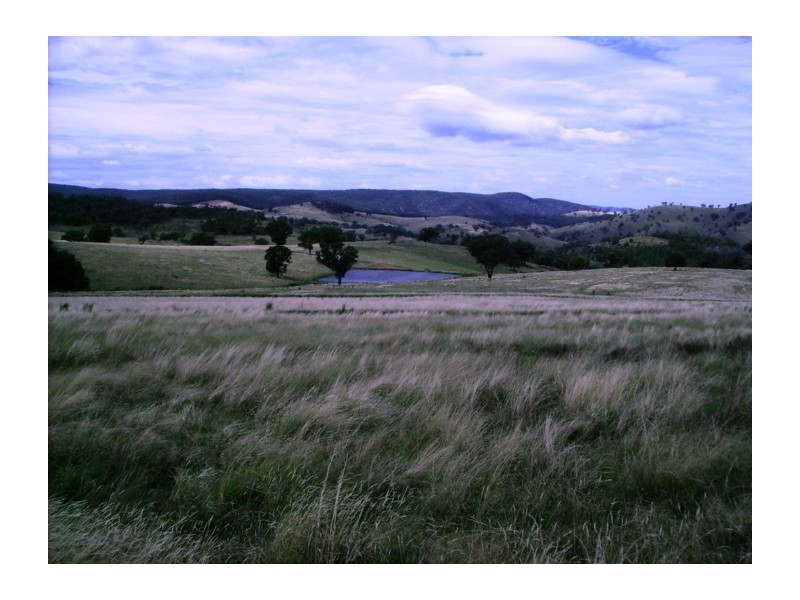 Lot 204,  Clements Road, Woodstock NSW 2793
