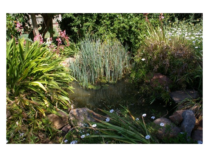 154 Broula Road, Cowra NSW 2794