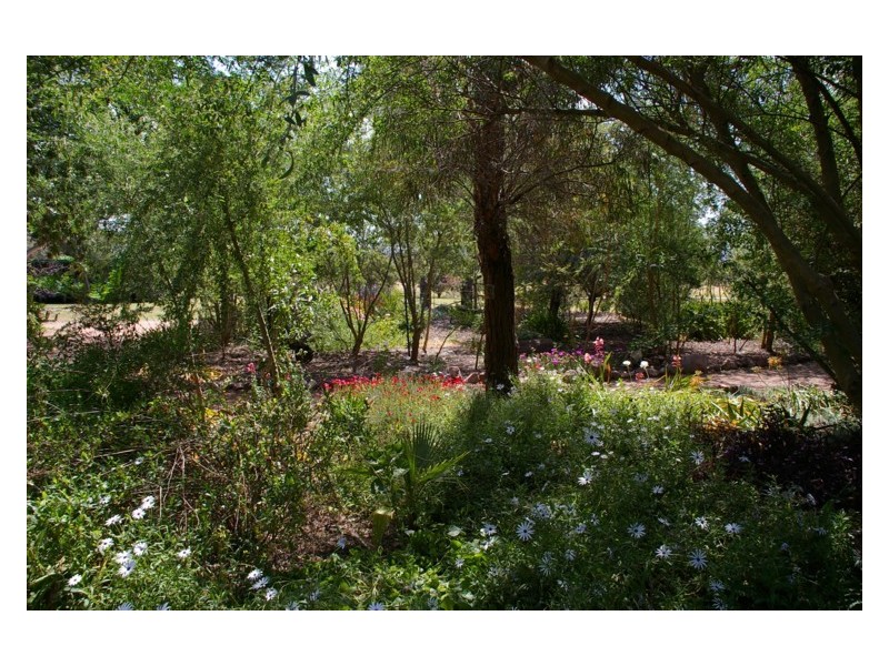 154 Broula Road, Cowra NSW 2794