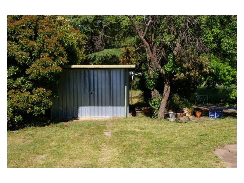 51 Fitzroy Avenue, Cowra NSW 2794