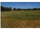 380 Conimbla Road, Cowra NSW 2794