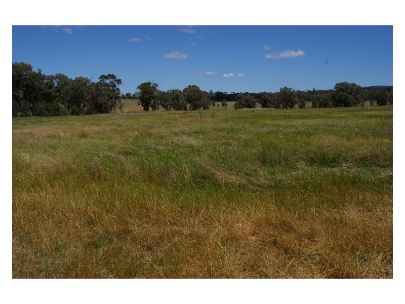 380 Conimbla Road, Cowra NSW 2794