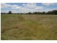 380 Conimbla Road, Cowra NSW 2794