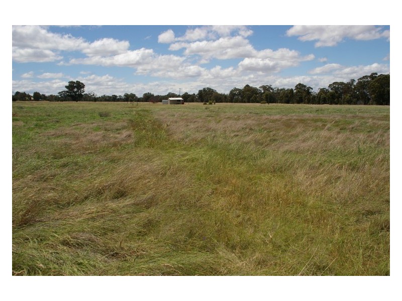 380 Conimbla Road, Cowra NSW 2794