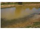 380 Conimbla Road, Cowra NSW 2794