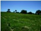 389 Mount McDonald Road, Wyangala NSW 2808