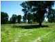 389 Mount McDonald Road, Wyangala NSW 2808