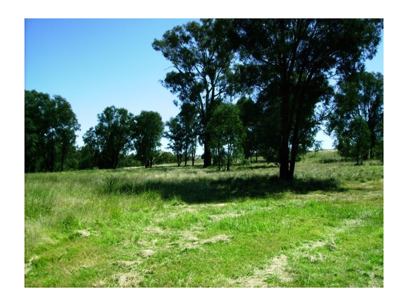 389 Mount McDonald Road, Wyangala NSW 2808