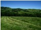 389 Mount McDonald Road, Wyangala NSW 2808