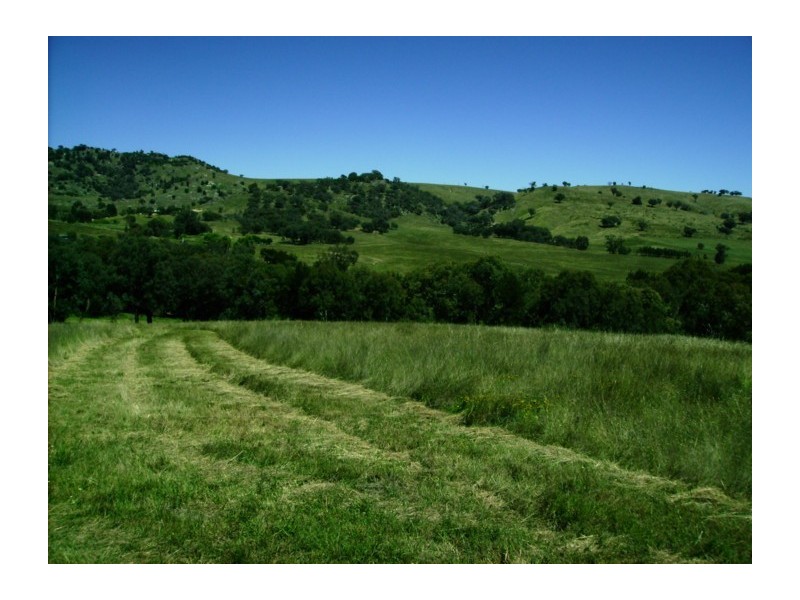 389 Mount McDonald Road, Wyangala NSW 2808