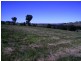389 Mount McDonald Road, Wyangala NSW 2808