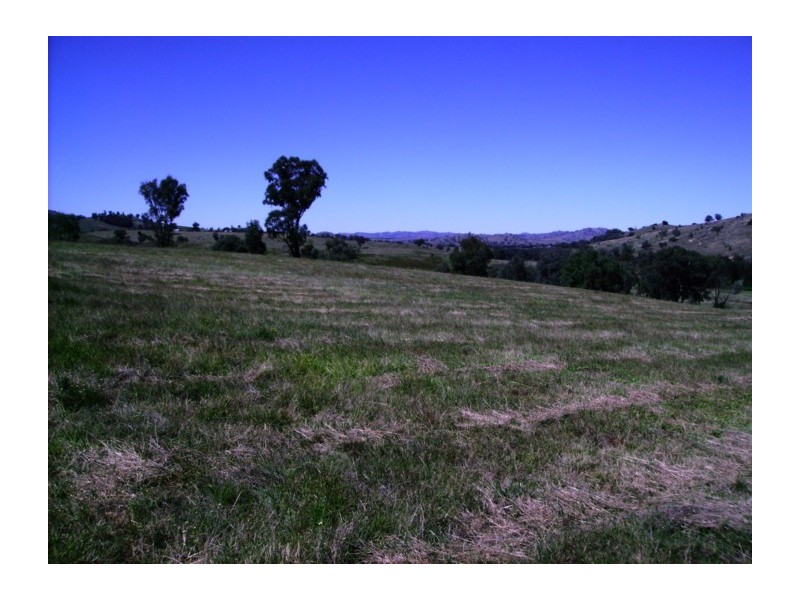 389 Mount McDonald Road, Wyangala NSW 2808