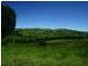 389 Mount McDonald Road, Wyangala NSW 2808