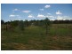 5901 Olympic Highway, Cowra NSW 2794