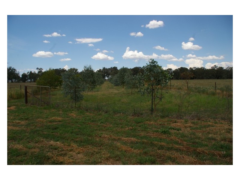 5901 Olympic Highway, Cowra NSW 2794