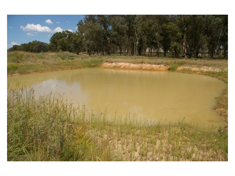5901 Olympic Highway, Cowra NSW 2794