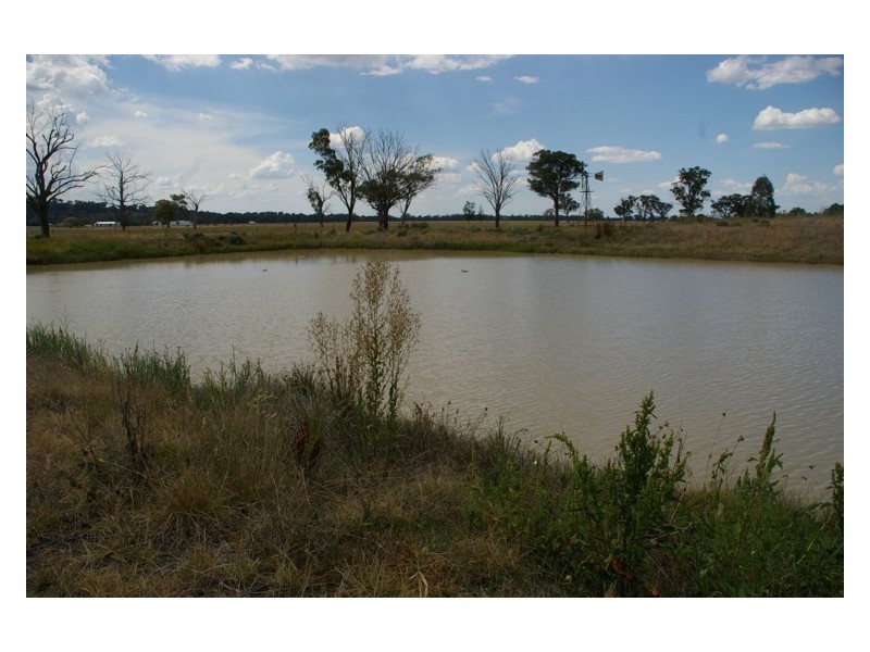 5901 Olympic Highway, Cowra NSW 2794