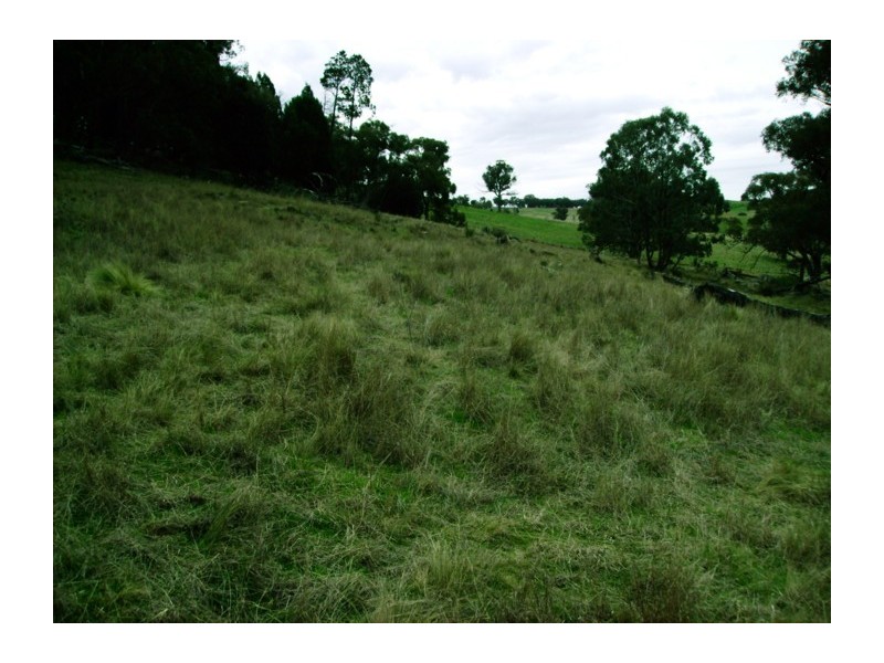 Lot 122,  Reg Hailstone Way, Wyangala NSW 2808