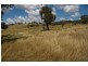 62 Frogmore Road, Hovells Creek NSW 2794