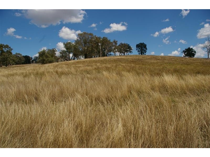 62 Frogmore Road, Hovells Creek NSW 2794