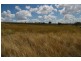 62 Frogmore Road, Hovells Creek NSW 2794