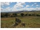 62 Frogmore Road, Hovells Creek NSW 2794