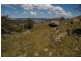 354 Blue Mantle Road, Wyangala NSW 2808
