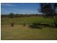 Reids Flat Road, Cowra NSW 2794
