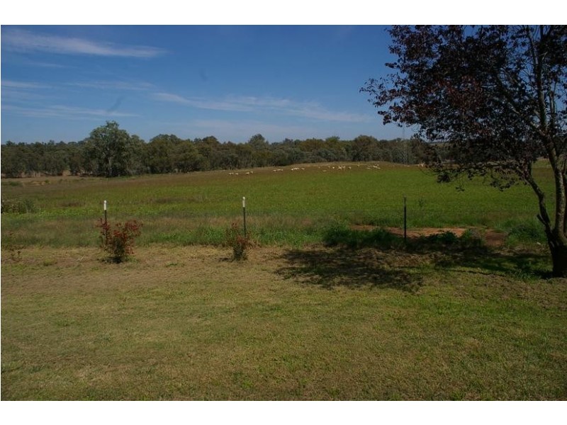 Reids Flat Road, Cowra NSW 2794