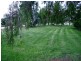 238 Kangarooby Road, Gooloogong NSW 2805