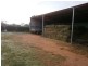 238 Kangarooby Road, Gooloogong NSW 2805
