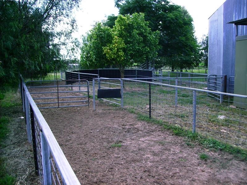 238 Kangarooby Road, Gooloogong NSW 2805