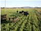 238 Kangarooby Road, Gooloogong NSW 2805