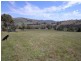 487 Mount McDonald Road, Wyangala NSW 2808
