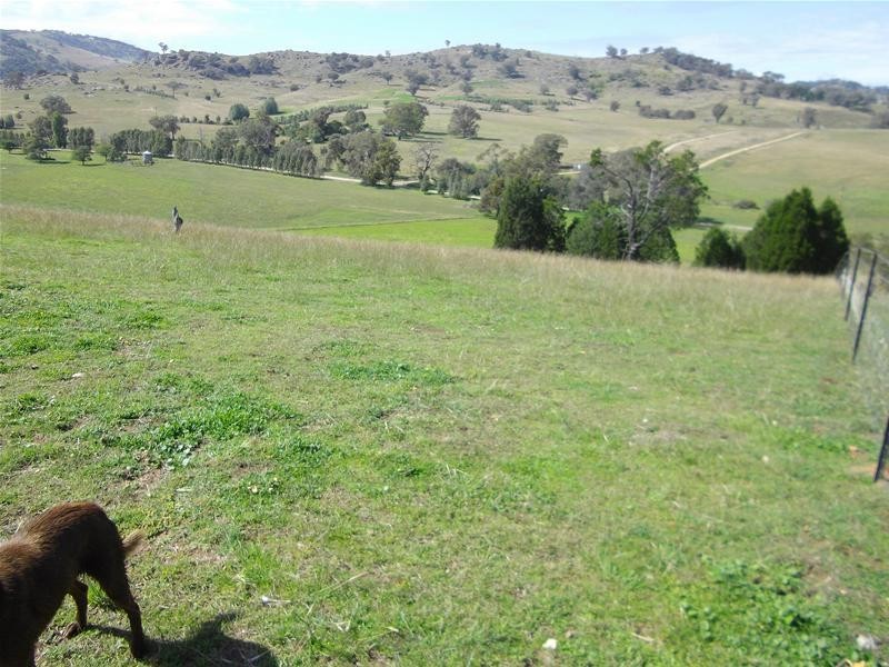 487 Mount McDonald Road, Wyangala NSW 2808