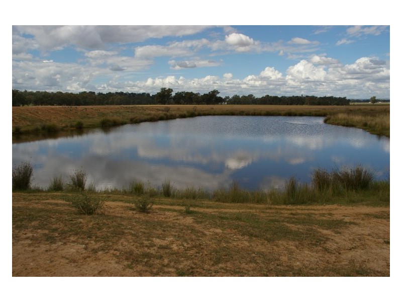 Middle Creek Road, Cowra NSW 2794